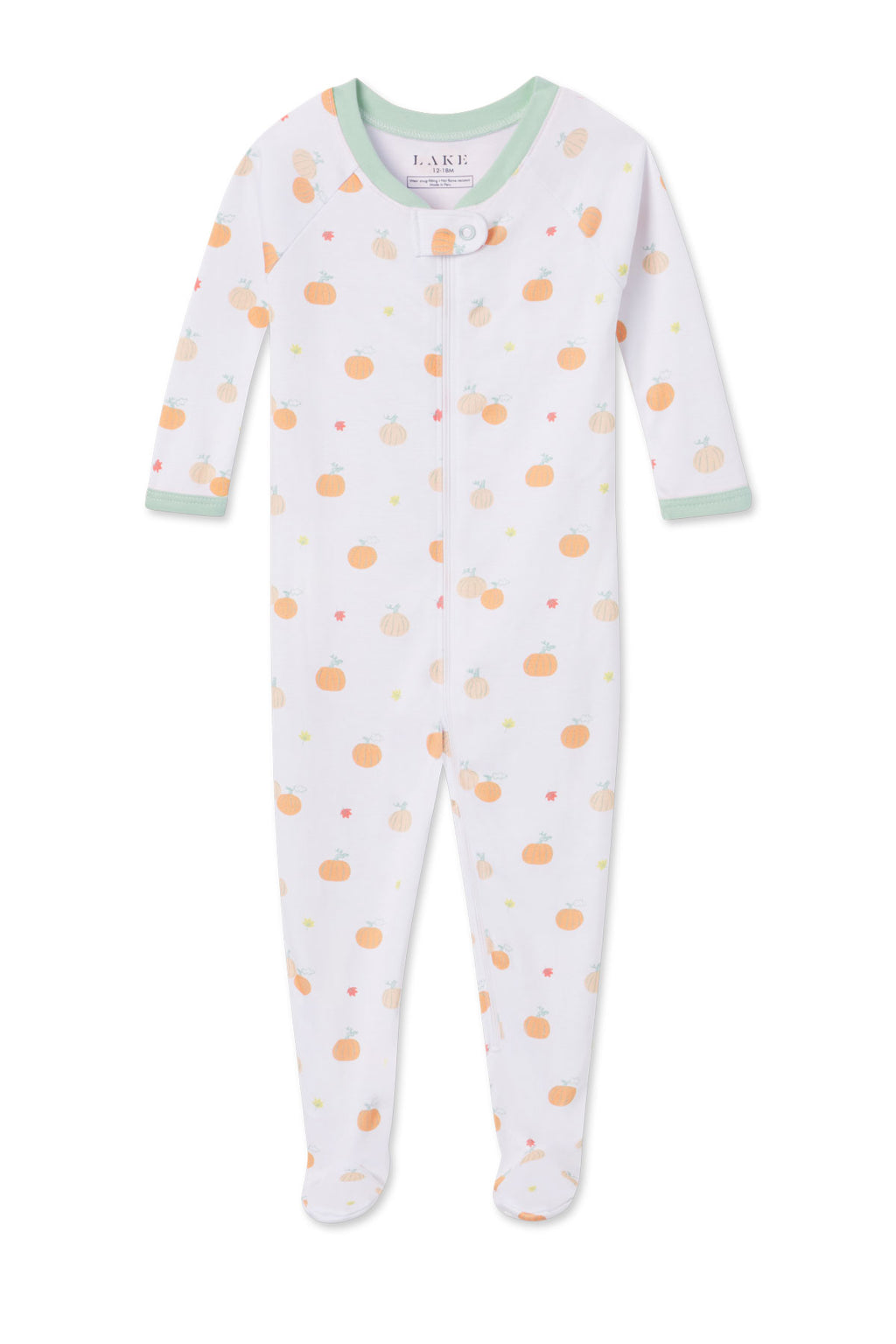 Baby Sleeper in Pumpkin Patch - Featured Image 3