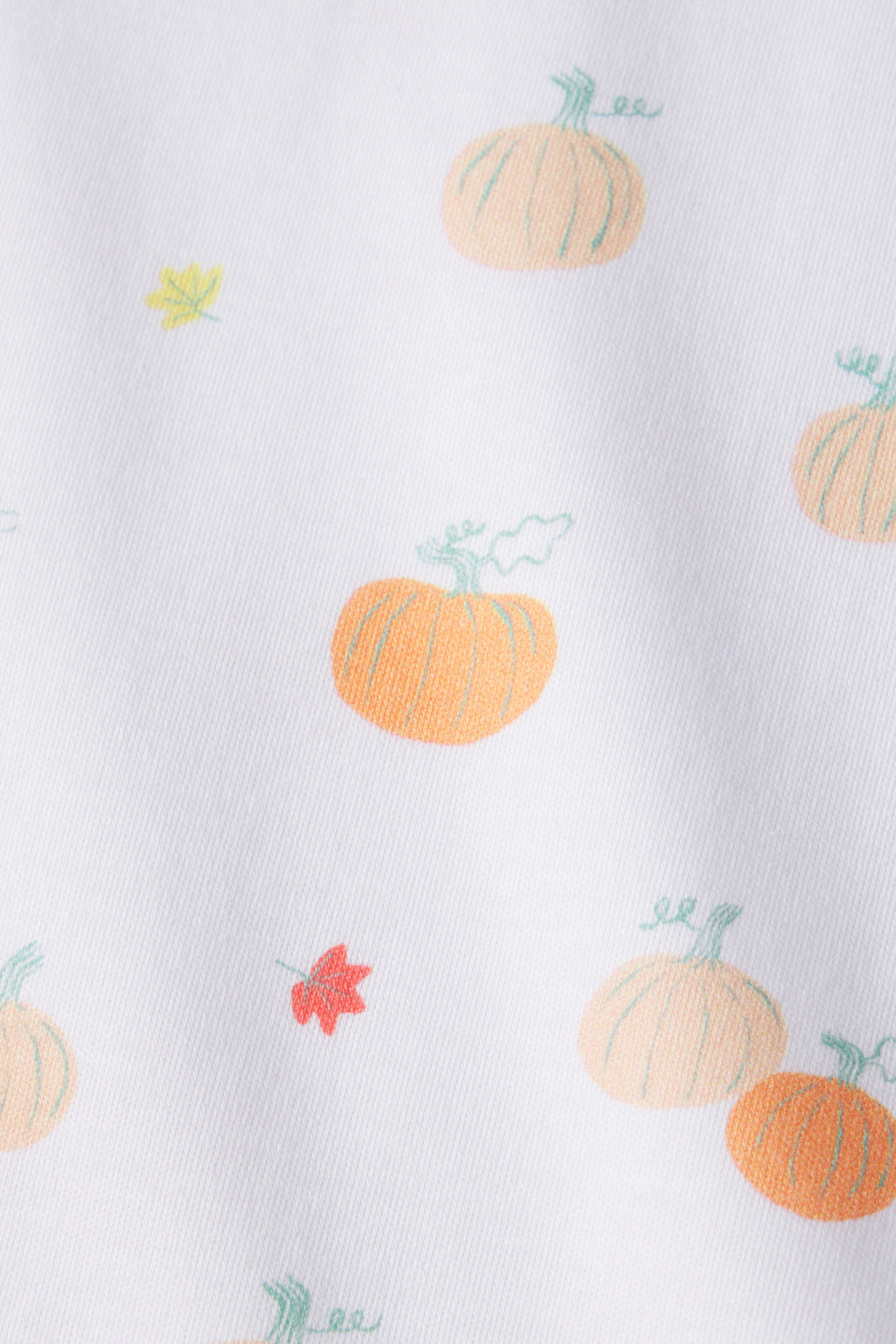 Kids Shorts Set in Pumpkin Patch - Main Image 3