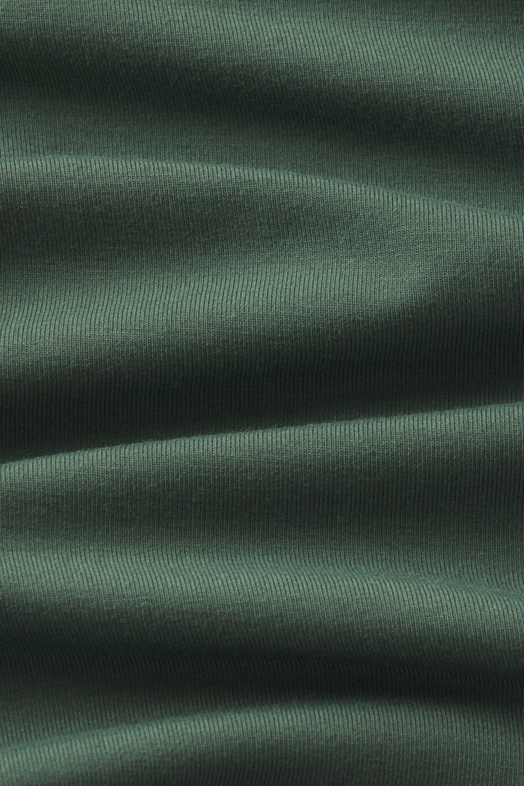 Sage green ribbed fabric texture with vertical striping detail.